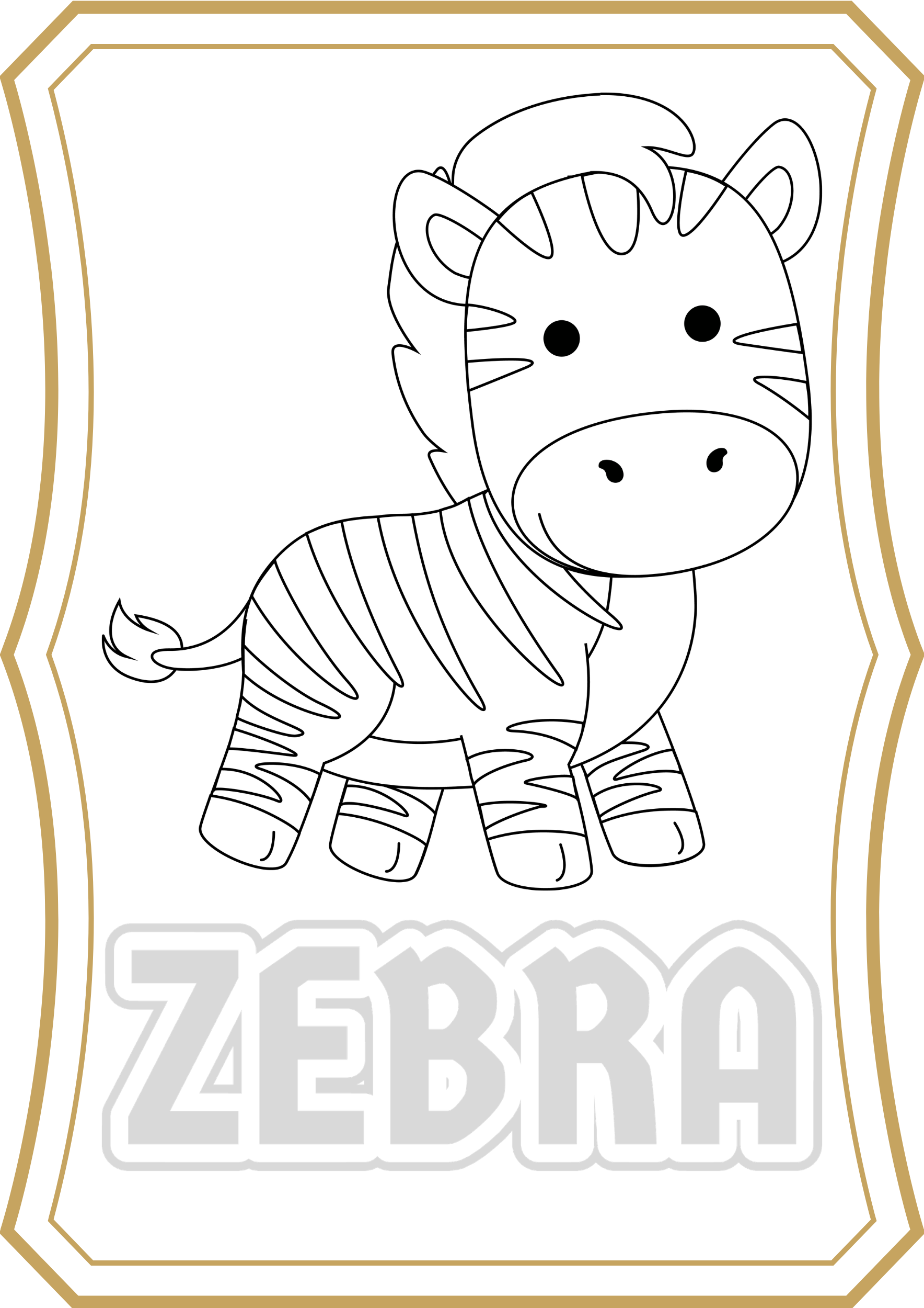 Zebra
